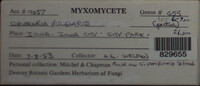Image Associated With the Occurence